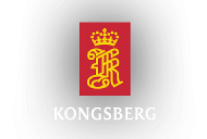 Kongsberg Maritime Ltd