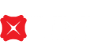 DBS Bank Ltd.png