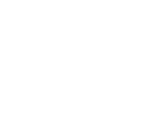 Aldebaran Shipping Services CA.png