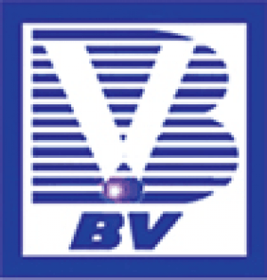 BV Oil Co Inc.png
