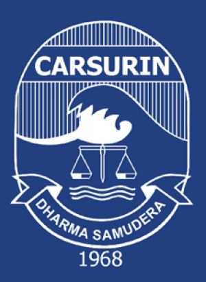 PT Carsurin.png