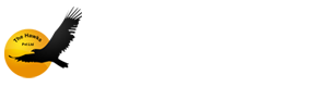 The Hawks Pvt Ltd.png