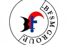 BFSM GROUP LOGO.jpg